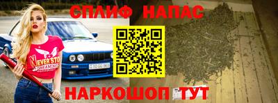 прущие грибы Малгобек