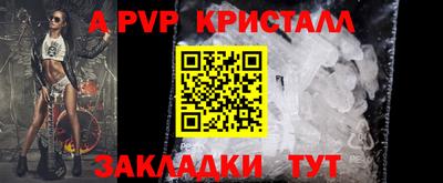 прущие грибы Малгобек