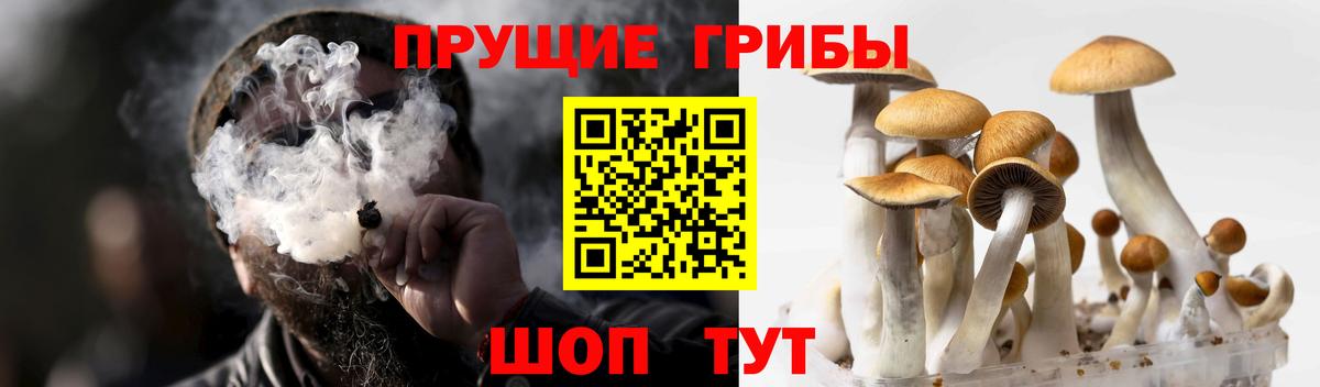 Псилоцибиновые грибы прущие грибы  Вход с VPN  Чита 